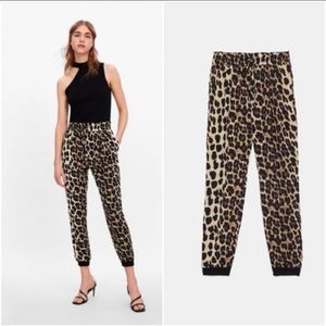 leopard print joggers from zara